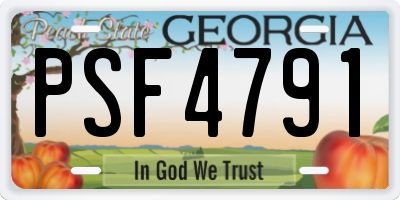 GA license plate PSF4791