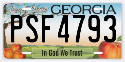 GA license plate PSF4793