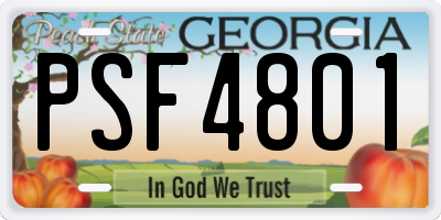 GA license plate PSF4801