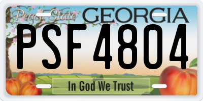 GA license plate PSF4804