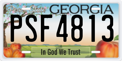 GA license plate PSF4813