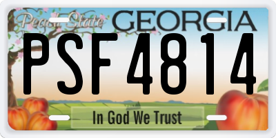 GA license plate PSF4814
