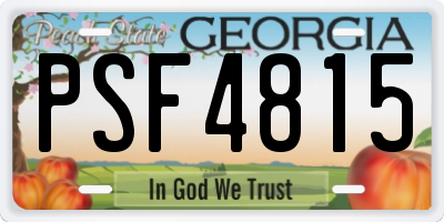 GA license plate PSF4815