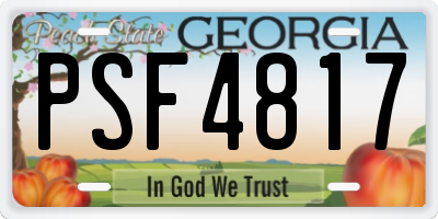 GA license plate PSF4817