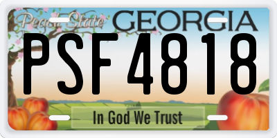 GA license plate PSF4818