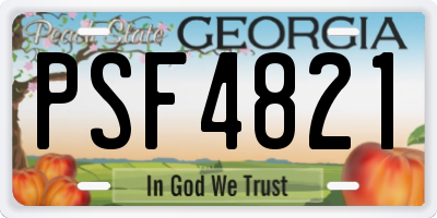 GA license plate PSF4821