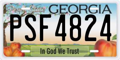 GA license plate PSF4824