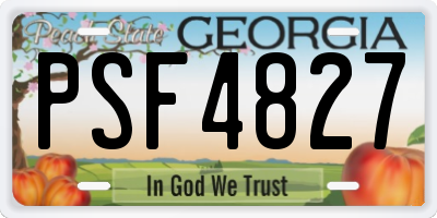 GA license plate PSF4827