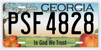 GA license plate PSF4828