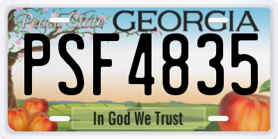GA license plate PSF4835