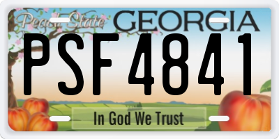 GA license plate PSF4841