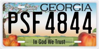 GA license plate PSF4844