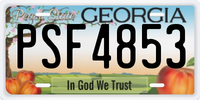 GA license plate PSF4853