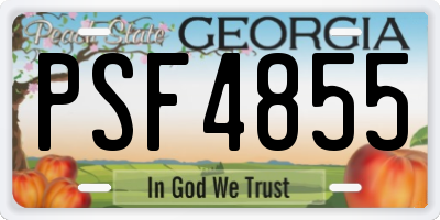 GA license plate PSF4855