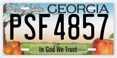 GA license plate PSF4857