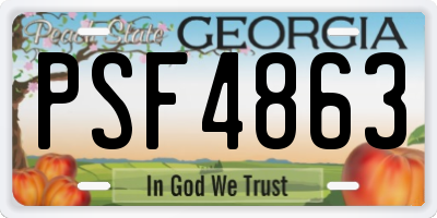 GA license plate PSF4863