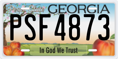 GA license plate PSF4873