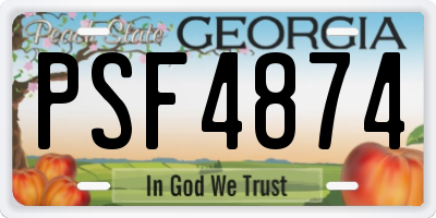 GA license plate PSF4874