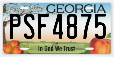 GA license plate PSF4875