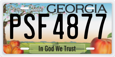 GA license plate PSF4877