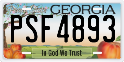 GA license plate PSF4893