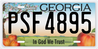 GA license plate PSF4895
