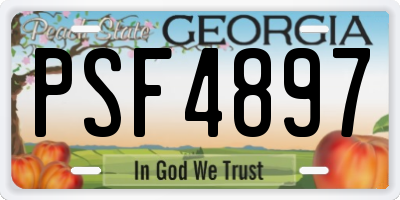 GA license plate PSF4897