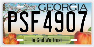 GA license plate PSF4907