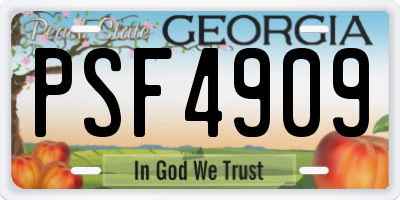 GA license plate PSF4909