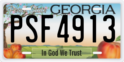 GA license plate PSF4913