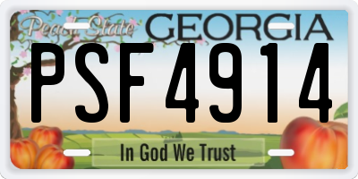 GA license plate PSF4914