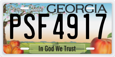 GA license plate PSF4917