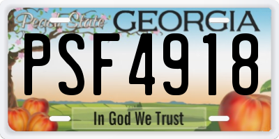 GA license plate PSF4918