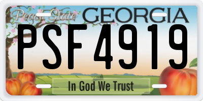 GA license plate PSF4919