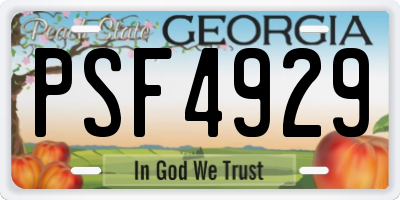 GA license plate PSF4929