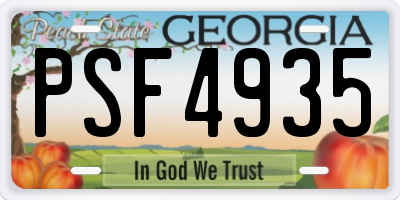 GA license plate PSF4935