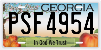 GA license plate PSF4954