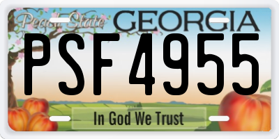 GA license plate PSF4955
