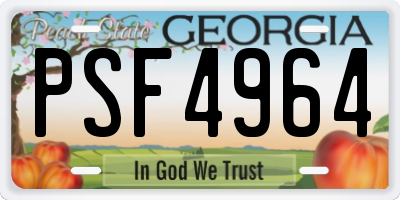 GA license plate PSF4964