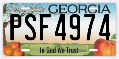GA license plate PSF4974
