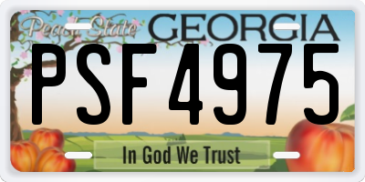 GA license plate PSF4975