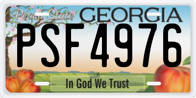 GA license plate PSF4976