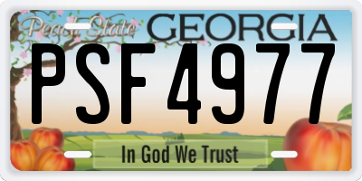 GA license plate PSF4977