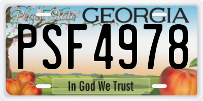GA license plate PSF4978