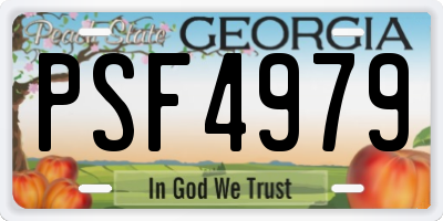 GA license plate PSF4979