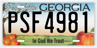 GA license plate PSF4981