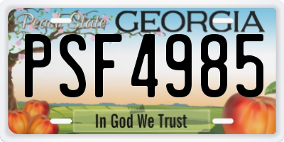 GA license plate PSF4985