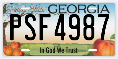 GA license plate PSF4987