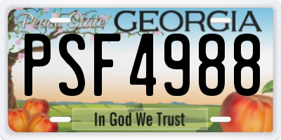 GA license plate PSF4988