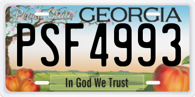 GA license plate PSF4993